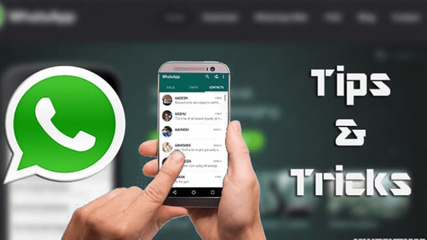 whatsapp apk mod